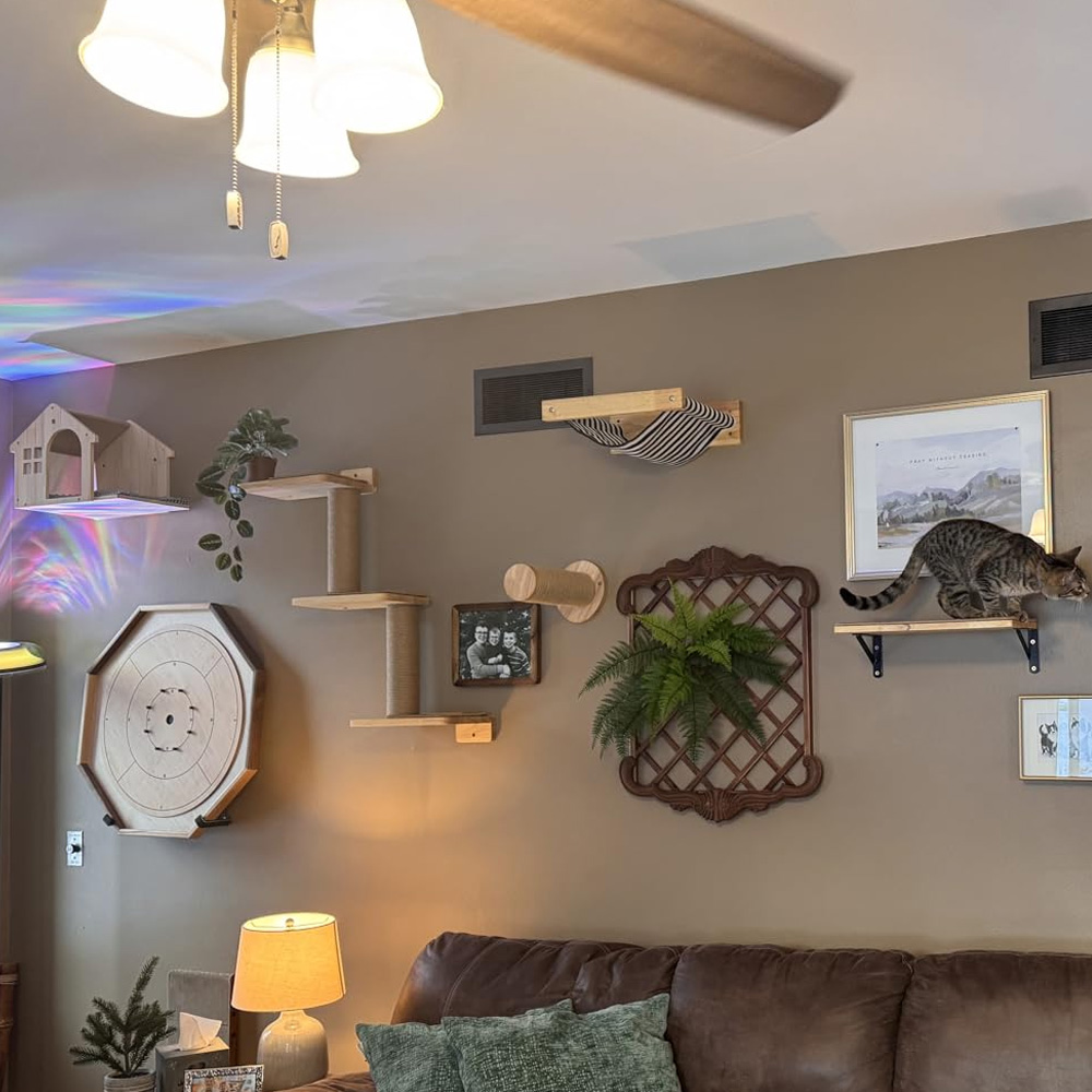 Furniture Paradise & Hardware Ghaziabad Reviews - 猫用家具 無垢材製吊り下げ式ブリッジ 壁掛け式サイザル麻製猫用クライミングラダー 木製エコフレンドリーな猫の楽園