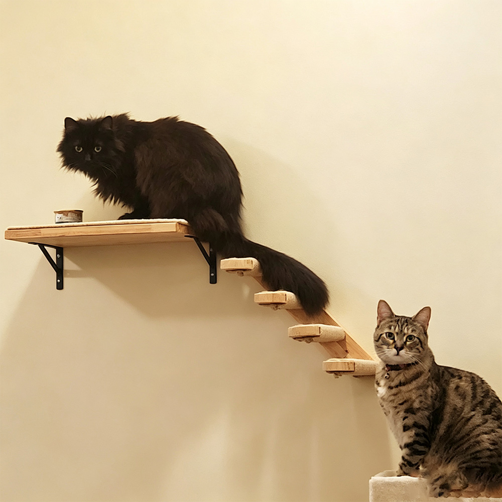 猫用家具 無垢材製吊り下げ式ブリッジ 壁掛け式サイザル麻製猫 - Furniture Paradise & Hardware Ghaziabad Reviews のレビューと価格